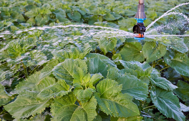 Over 2.5 bln tenge allocated for rural water supply in Turkistan region