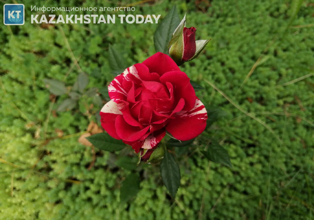 На большей части Казахстана ожидается погода без осадков