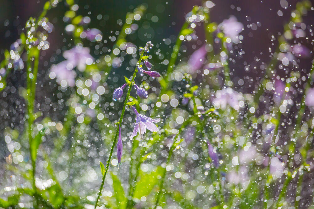 Неустойчивую погоду прогнозируют синоптики Казахстана