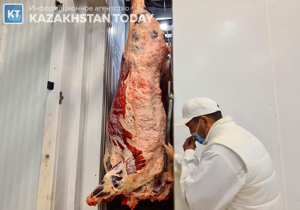 Безопасно ли покупать мясо сайгаков на рынках, рассказали в Минэкологии