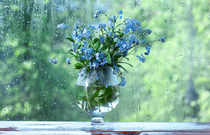 Дожди ожидаются в Казахстане в выходные