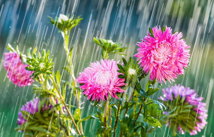 Дожди с грозами прогнозируют синоптики в Казахстане в понедельник