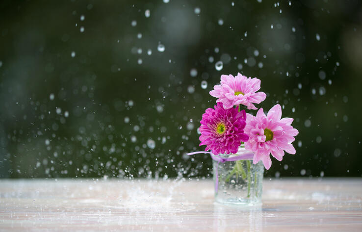 Дожди ожидаются в большинстве регионов Казахстана