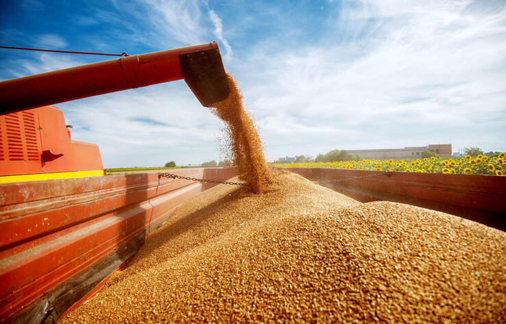 3.1 million tons of grain harvested in Kazakhstan
