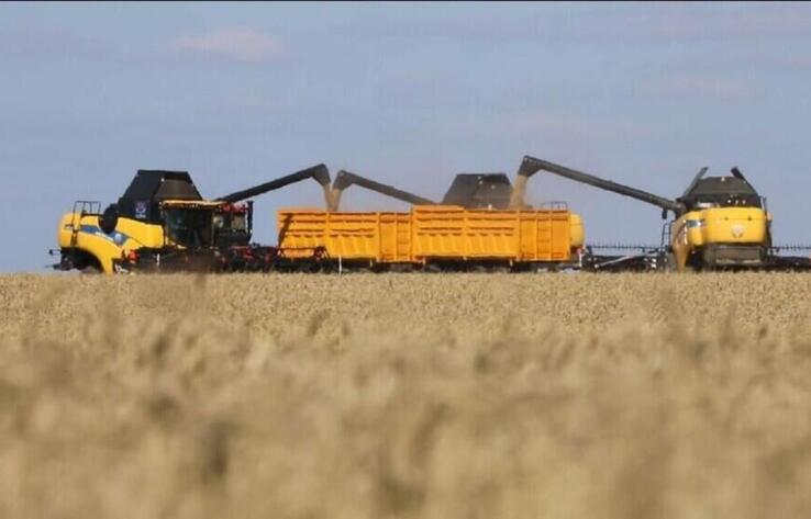 Қазақстанда 3,1 млн тонна астық бастырылды