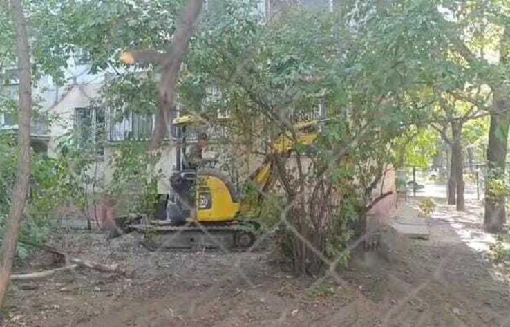 Нам не нужен газон, нам нужны деревья - алматинцы пожаловались на уничтожение зеленых насаждений в палисаднике многоэтажки
