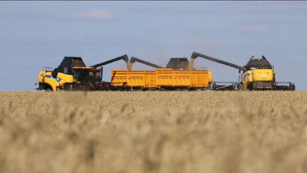 В Казахстане намолочено 2,4 млн тонн зерна