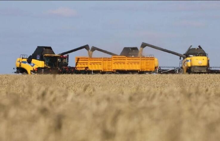 В Казахстане намолочено 2,4 млн тонн зерна