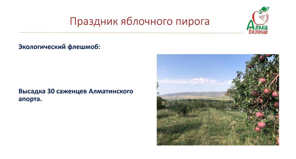 В Алматинской области пройдет праздник яблочного пирога
. Фото: скрин с презентации