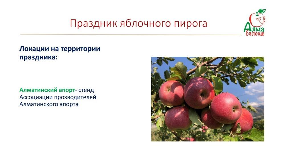 В Алматинской области пройдет праздник яблочного пирога
. Фото: скрин с презентации
