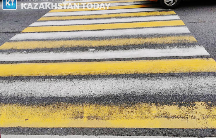 Сделать ПДД обязательным уроком в школах предлагает МВД