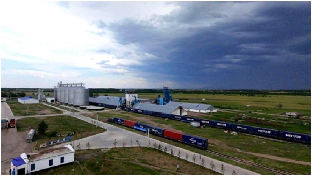 Китай и другие страны ШОС активизируют сотрудничество в борьбе с бедностью