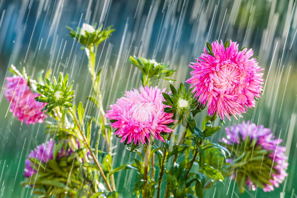 Дожди с грозами ожидаются в Казахстане в пятницу