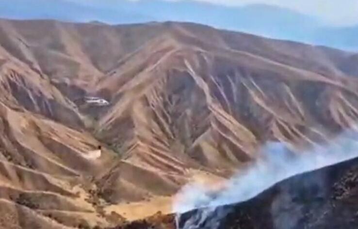 В горах Алматинской области тушат крупный пожар