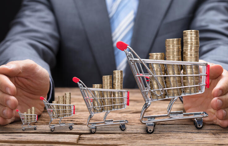 Правительство и Нацбанк планируют снизить уровень инфляции до 5-6%