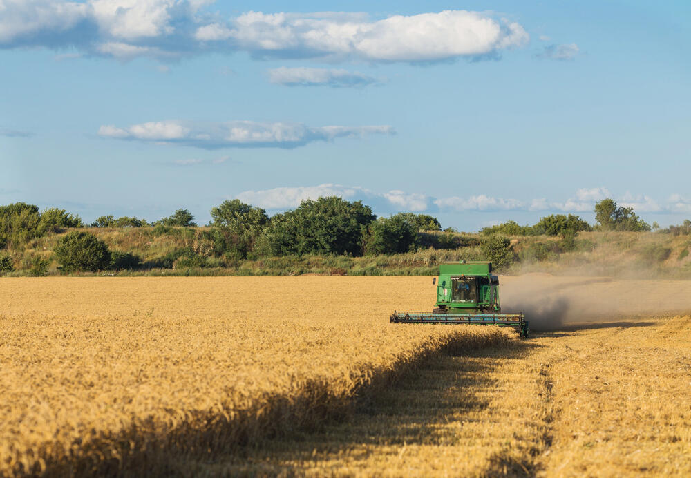 Akmola region’s crop acreage hit 5.5 mln ha
