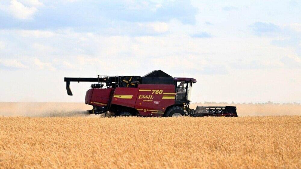 Қазақстанда 24 млн тонна астық жинау күтілуде