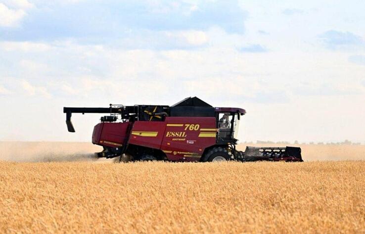 Қазақстанда 24 млн тонна астық жинау күтілуде