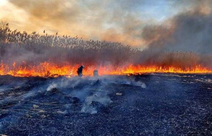 Пожар охватил около 120 гектаров в нацпарке "Алтын-Эмель" 