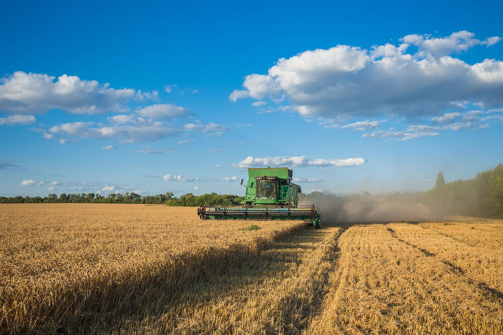 Kazakhstan harvests 15.5M tons of grain