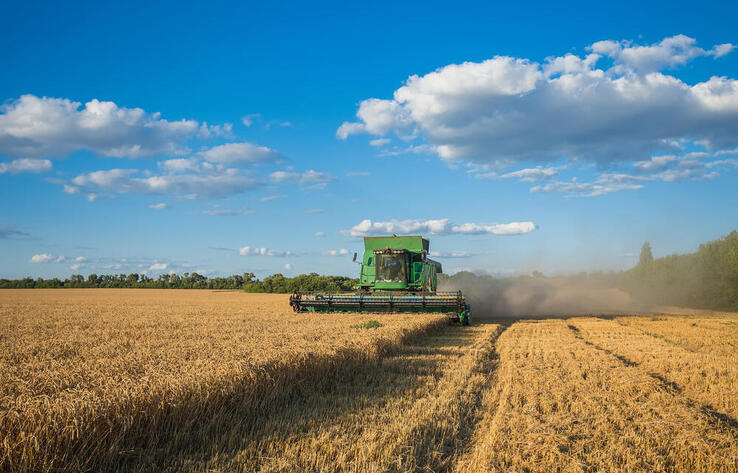 Kazakhstan harvests 15.5M tons of grain
