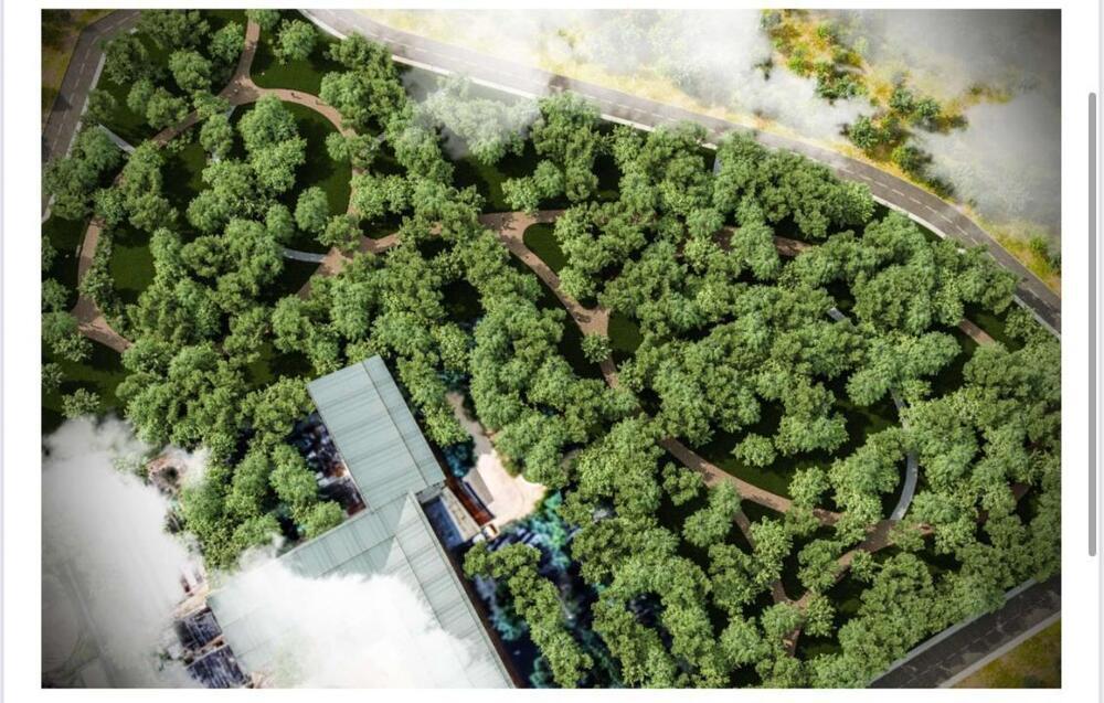 Алматыда жаңа қоғамдық кеңістік пайда болады