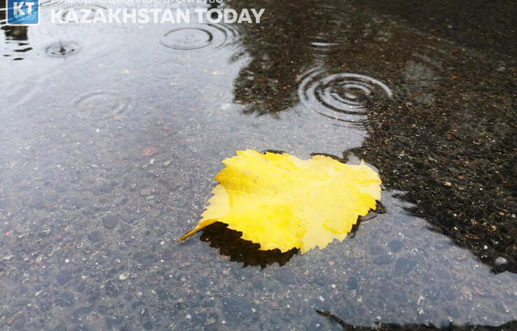 Дожди ожидаются в большинстве регионов Казахстана