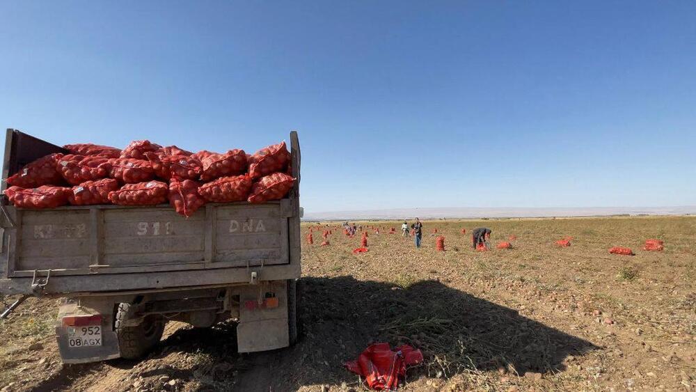 Жамбыл облысының шаруаларын вегетация кезеңінде сумен қамту үшін 1 млрд текше метрден астам су алынды