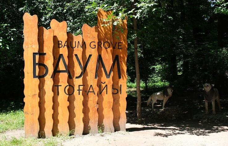 Власти Алматы обещают, что ни одно дерево не будет вырублено в роще Баума 
