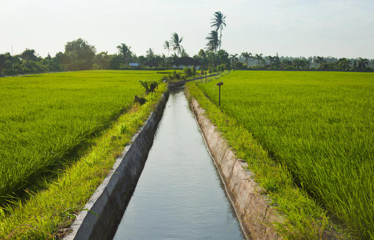 В Казахстане с 2026 года договоры на подачу поливной воды будут заключаться в электронном формате