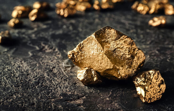 Шығыс Қазақстанда бағалы металдарды заңсыз өндіру фактілері анықталды