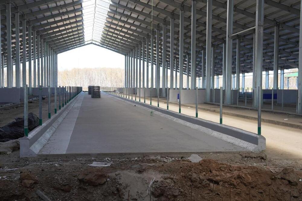 Солтүстік Қазақстан облысында 8 000 басқа арналған фермасы салынуда