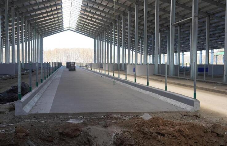 Солтүстік Қазақстан облысында 8 000 басқа арналған фермасы салынуда