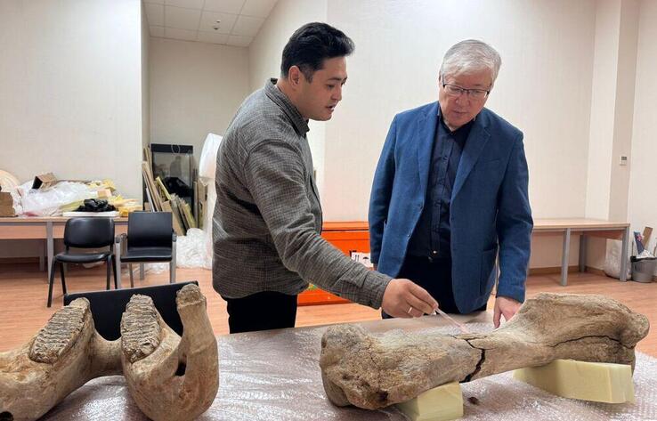 Ақмола облысынан табылған мамонт сүйегі Ұлттық музейге жеткізілді