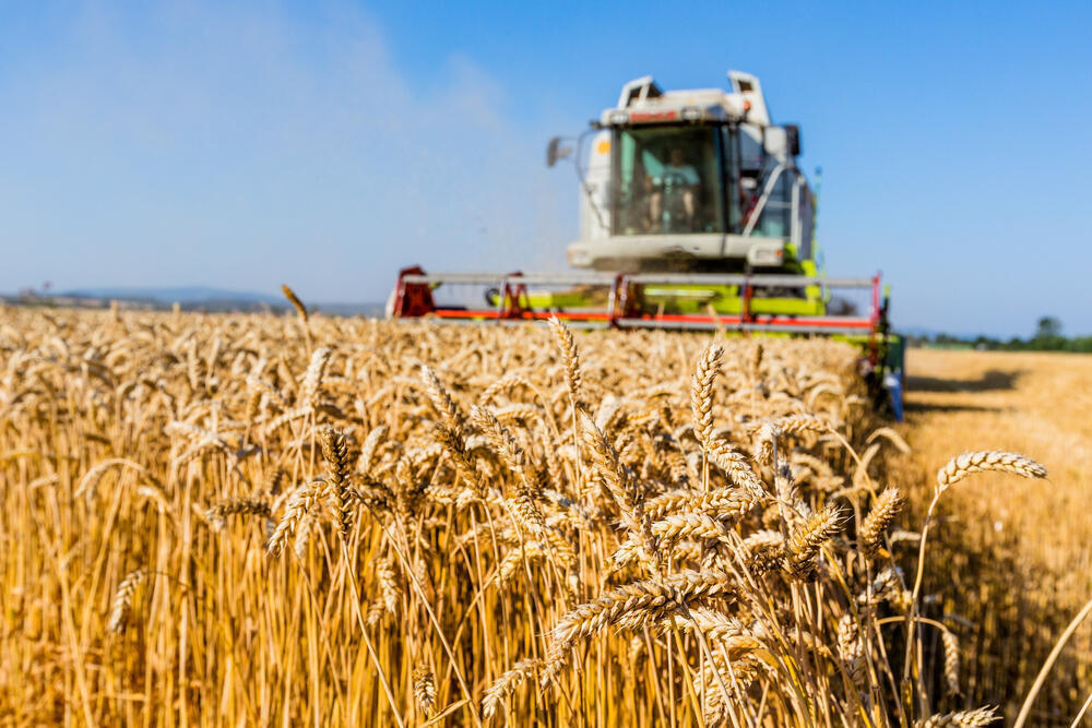 Kazakhstan harvests 25.9 mln tons of grain