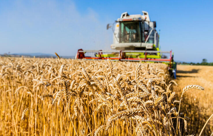 Kazakhstan harvests 25.9 mln tons of grain