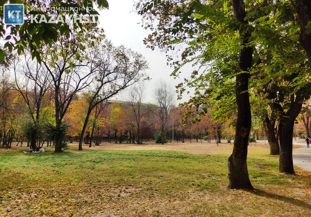 В Алматы проведут проверку по фактам самозахвата территорий в одном из микрорайонов 