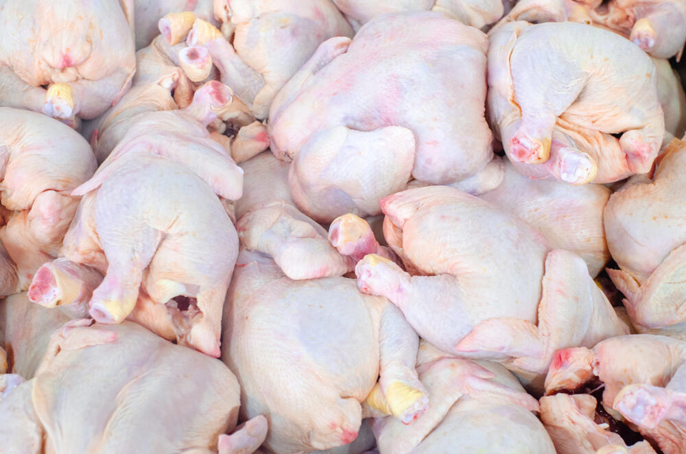 Россельхознадзор выявил сальмонеллу: на казахстанской птицефабрики проведут проверку