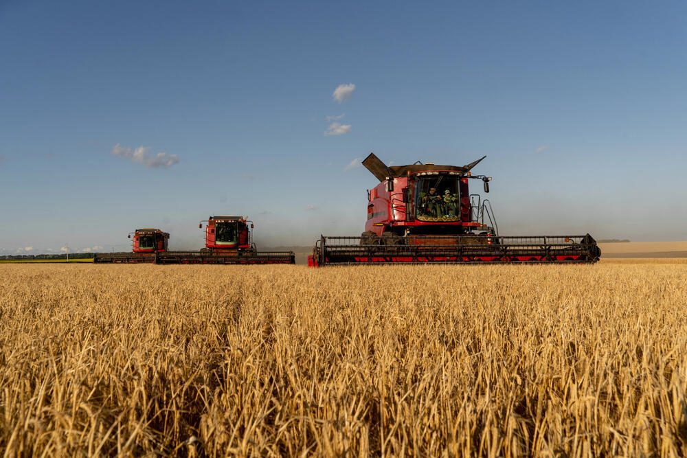 Kazakhstan increases new-season grain exports by 14%