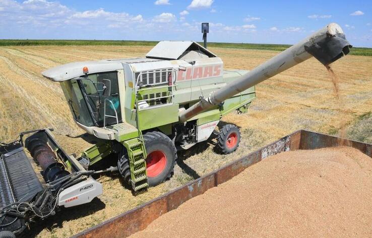 Қазақстан жаңа өнімнен 1,6 млн тонна астық экспорттады