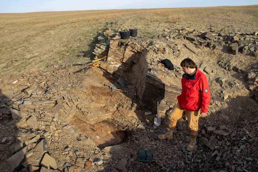 В 70 км от Алматы ученые нашли более сотни скелетов древних амфибий 