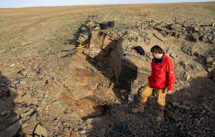 В 70 км от Алматы ученые нашли более сотни скелетов древних амфибий 