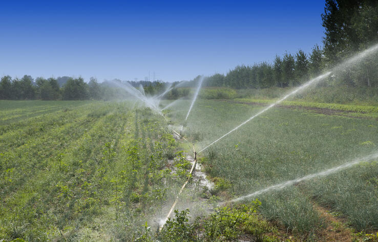 Штрафы на 46,7 млн тенге наложены за нарушение водного законодательства в Кызылординской и Туркестанской областях 