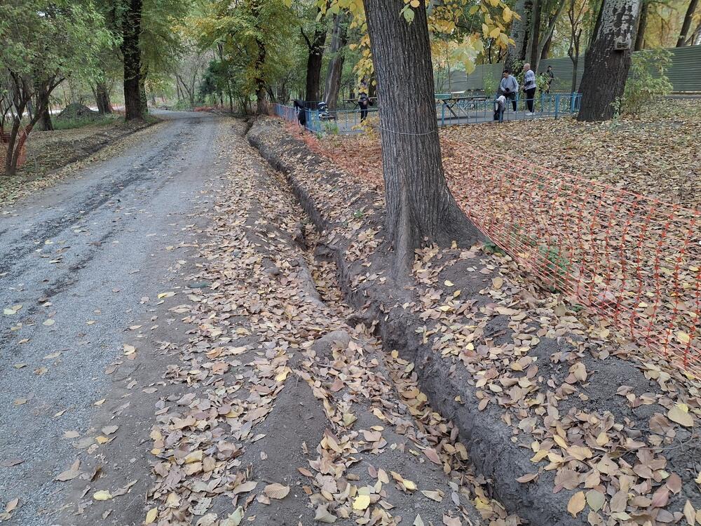 Общественники потребовали прекратить строительные работы в роще Баума в Алматы