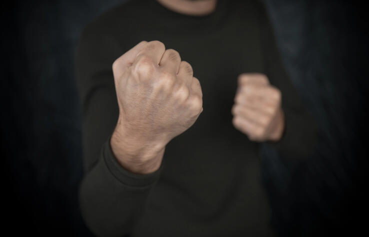 Жестоко избили единственного сотрудника - общественница заявила о нападении на приют для животных в Алматинской области