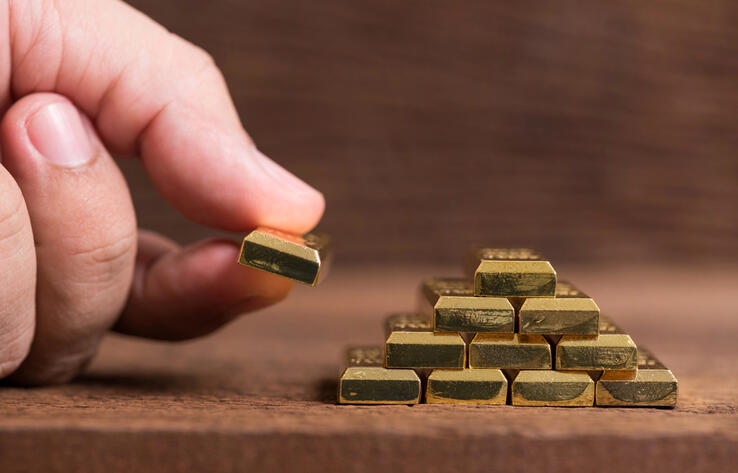 В Шымкенте вынесен приговор организаторам финансовой пирамиды Nazira Gold