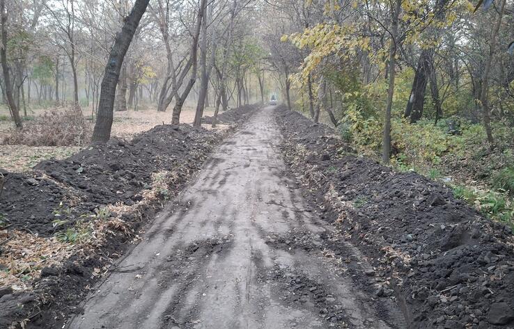 Наносится непоправимый ущерб уникальной природной среде - общественники о строительных работах в роще Баума в Алматы