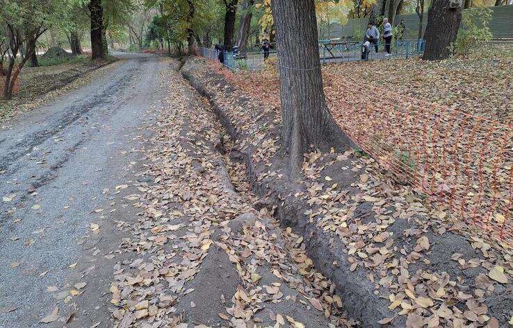 Алматинцы написали заявление в полицию из-за вырубки здоровых деревьев в роще Баума