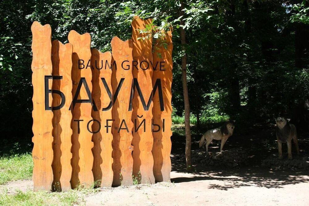 Эксперты призвали вернуть роще Баума статус особо охраняемой территории республиканского значения