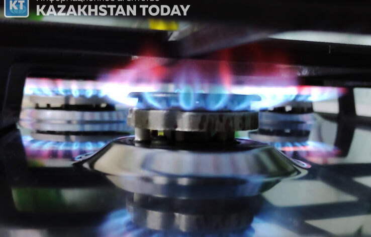 В Казахстане предлагают увеличить оптовую цену на газ 
